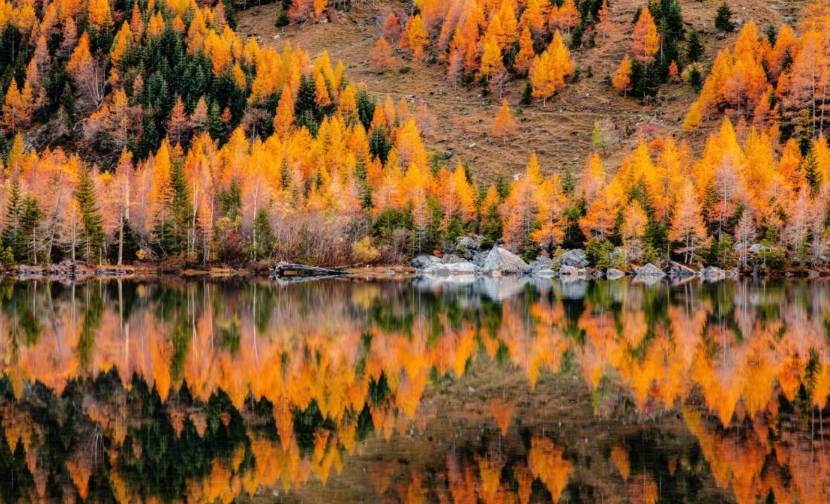 Pourquoi l'automne est la période idéale pour visiter la Suisse