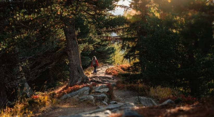 Pourquoi l'automne est la période idéale pour visiter la Suisse