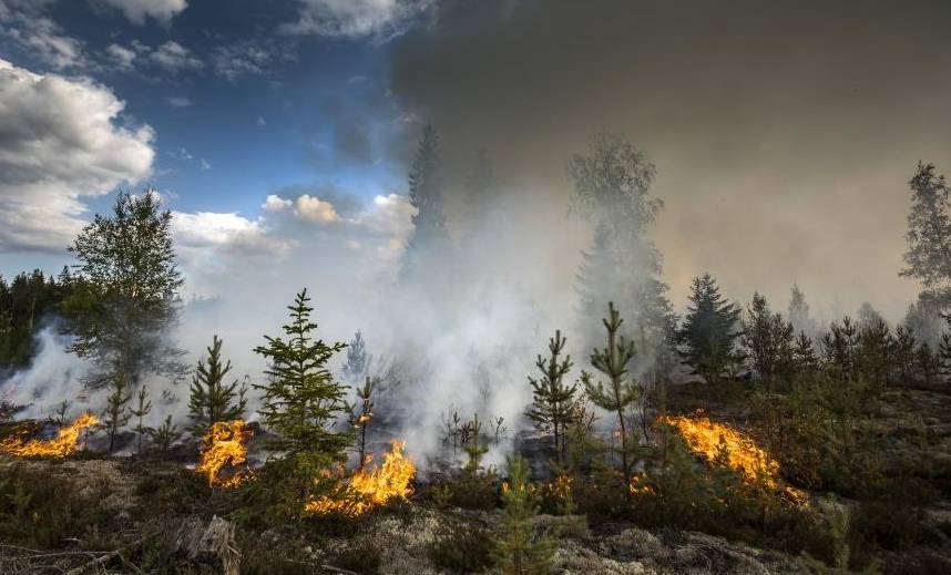 la technologie satellitaire dans la lutte contre les incendies de forêt en France